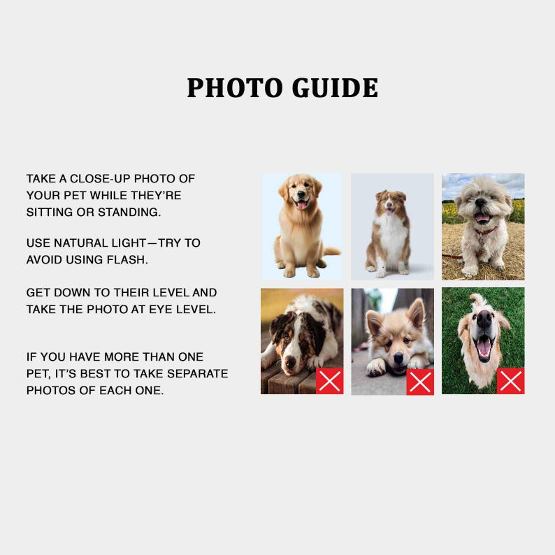 Personalized Pet Poster  Dog in Toilet, Dog Reading Newspaper on Toilet,