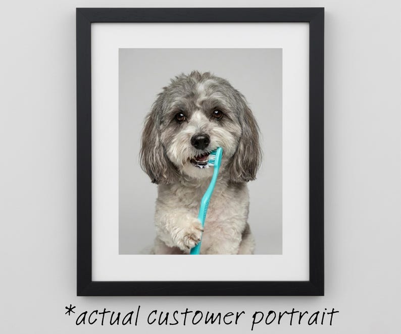 Custom Dog Bathroom Portraits (Set of 4) – Funny Dog Spa Prints - digital file