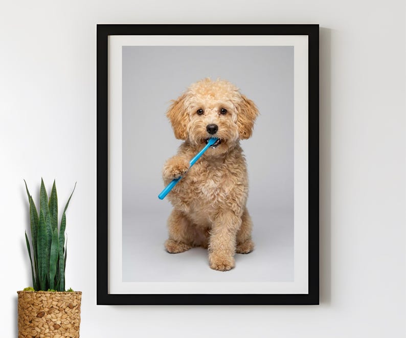 Custom Dog Bathroom Portraits (Set of 4) – Funny Dog Spa Prints - digital file